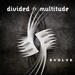Divided Multitude 18