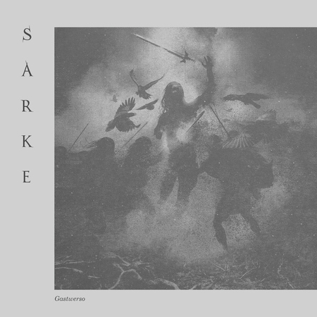 Sarke 19