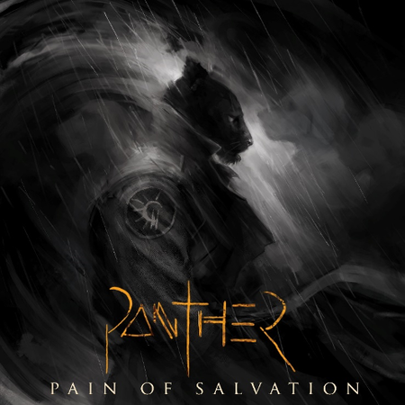 Pain Of Salvation 20 Album