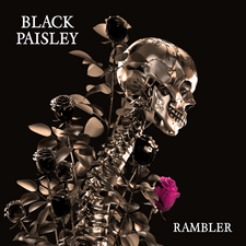 Black Paisley 20