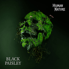 Black Paisley 22