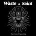 Waste A Saint 24