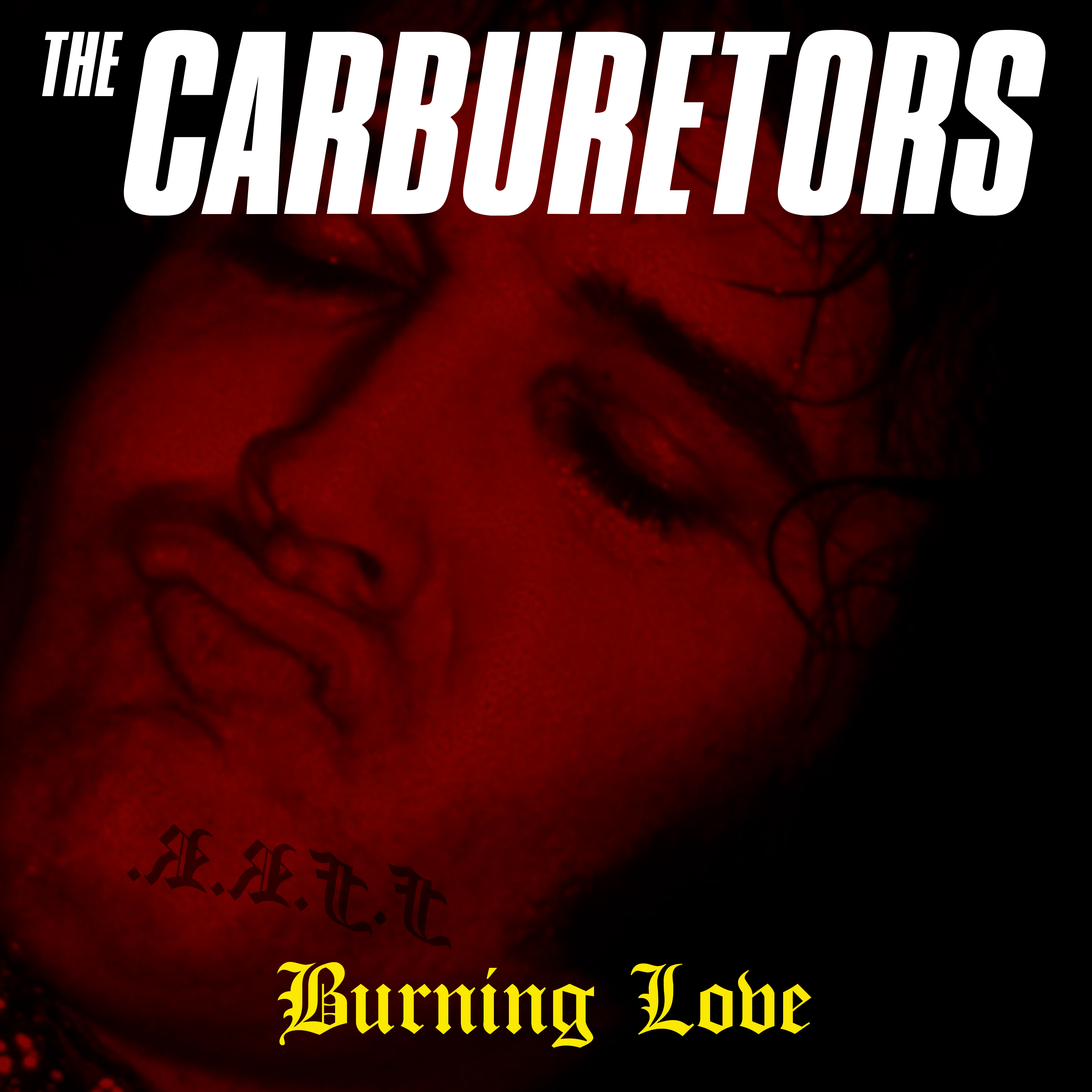 Carburetors 18 (2)