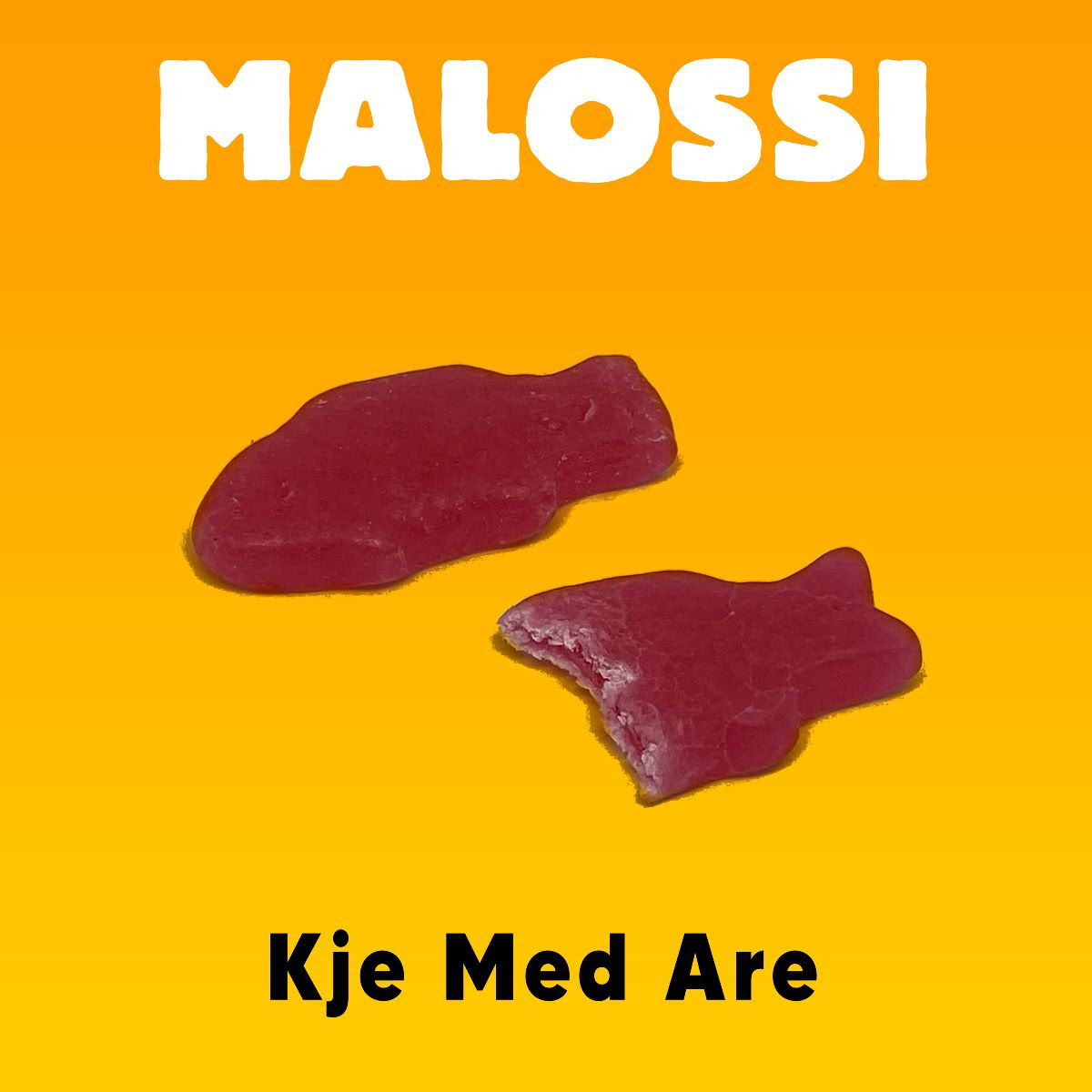 Malossi Singel 21