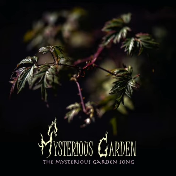 Mysterious Garden 21