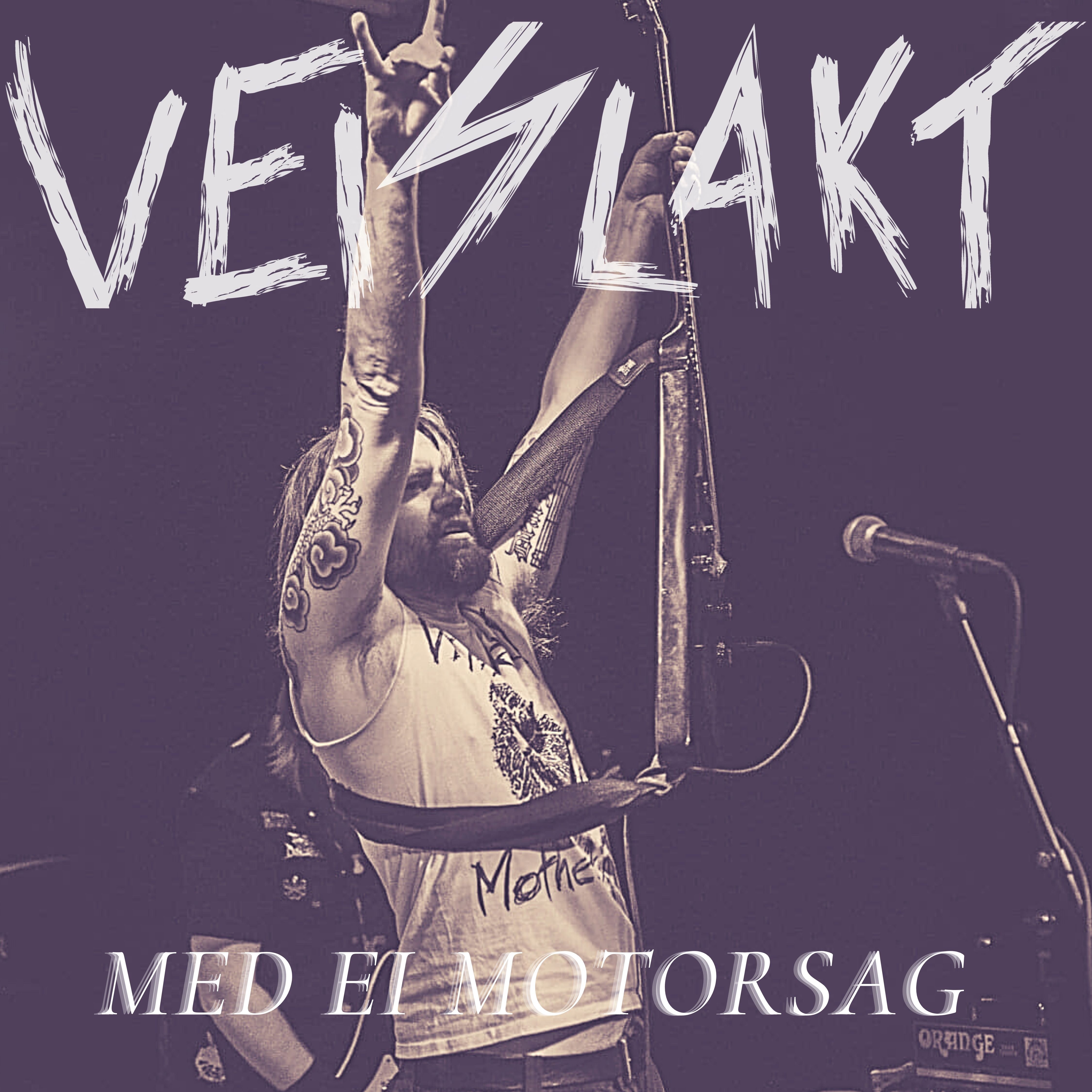 Veislakt 22