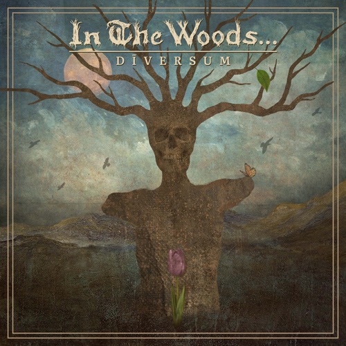 In The Woods ... 22