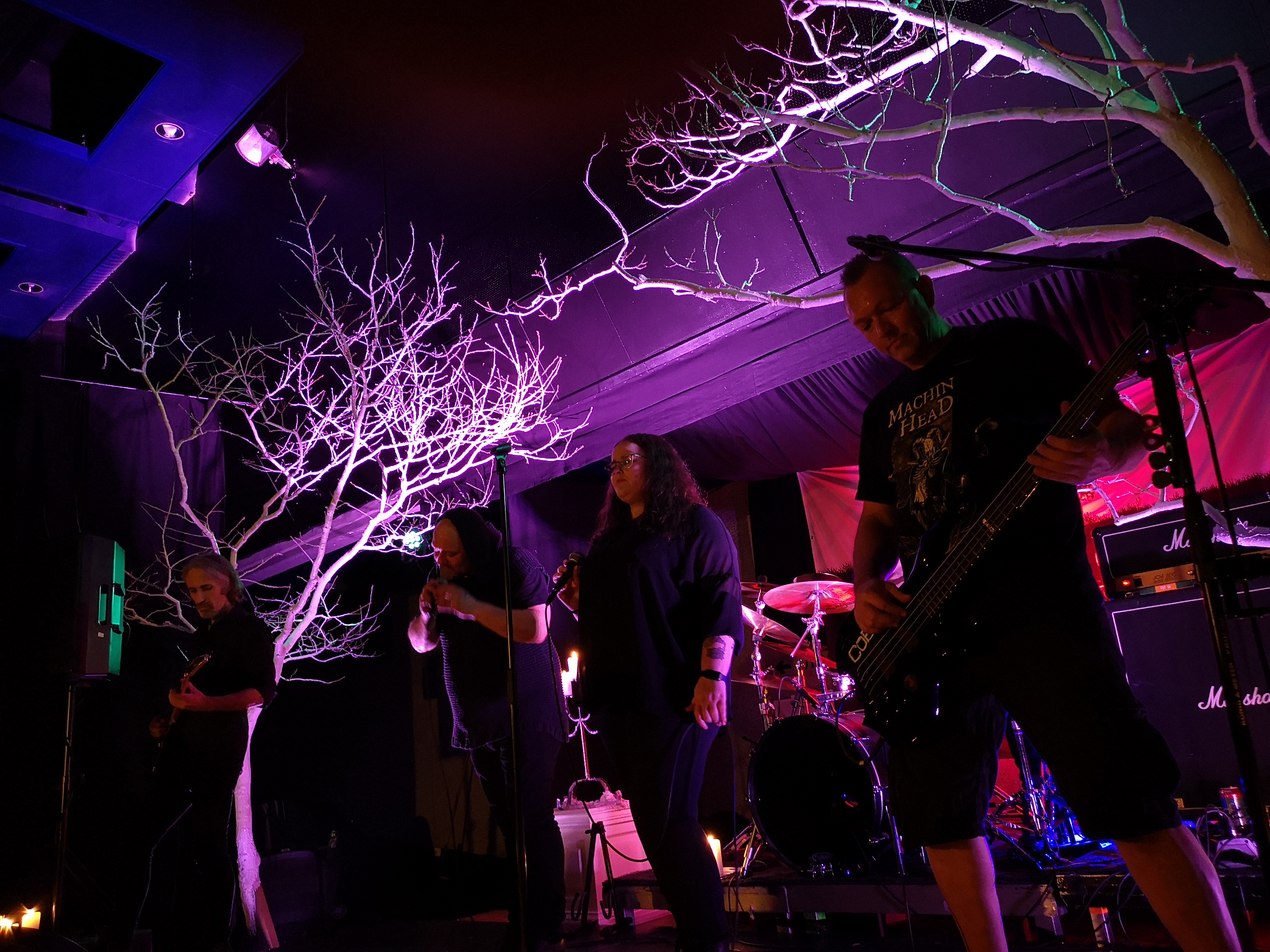 Sub Trees 171222 Kristiansand (1)