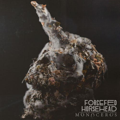 Forcefeed Horsehead 23