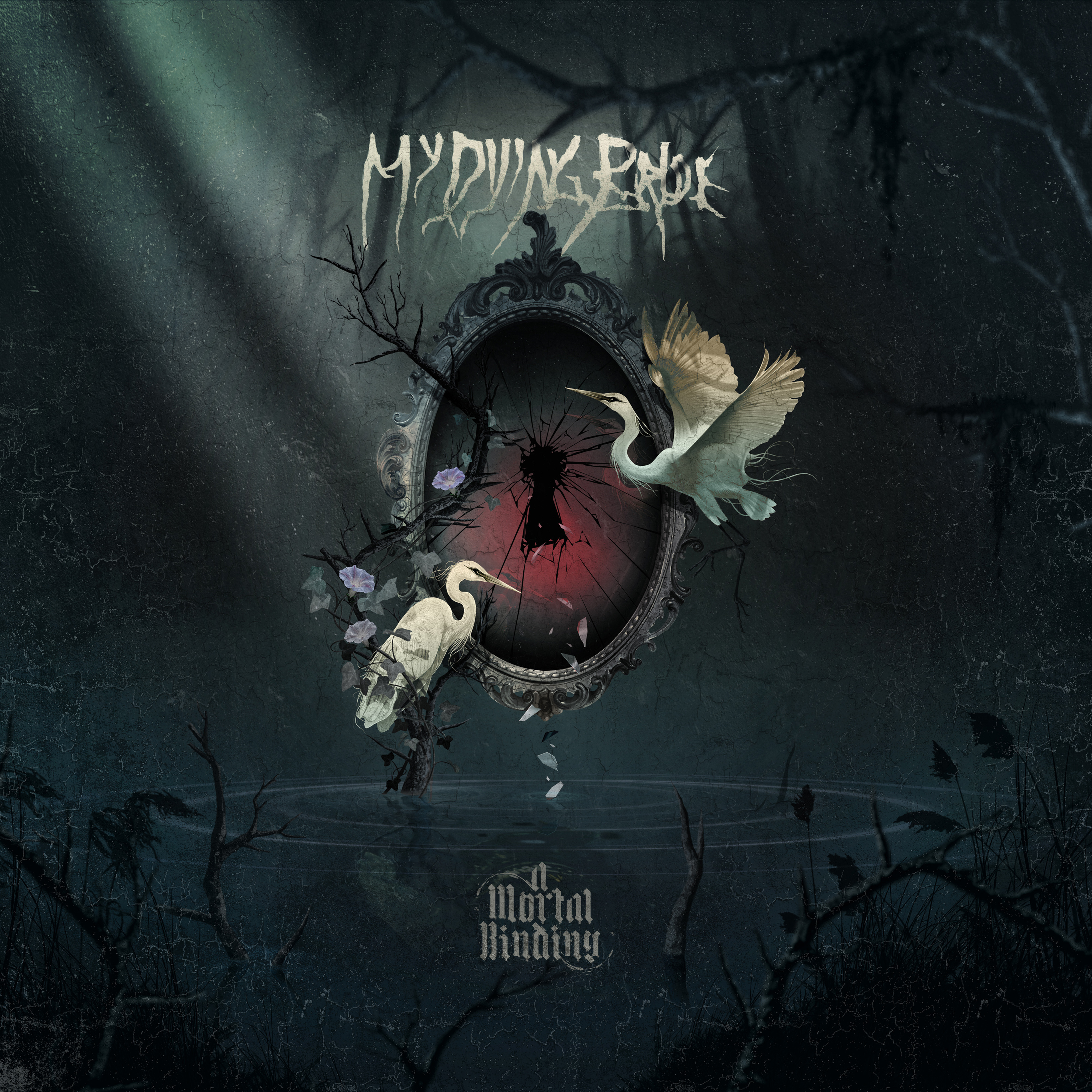My Dying Bride Album 24